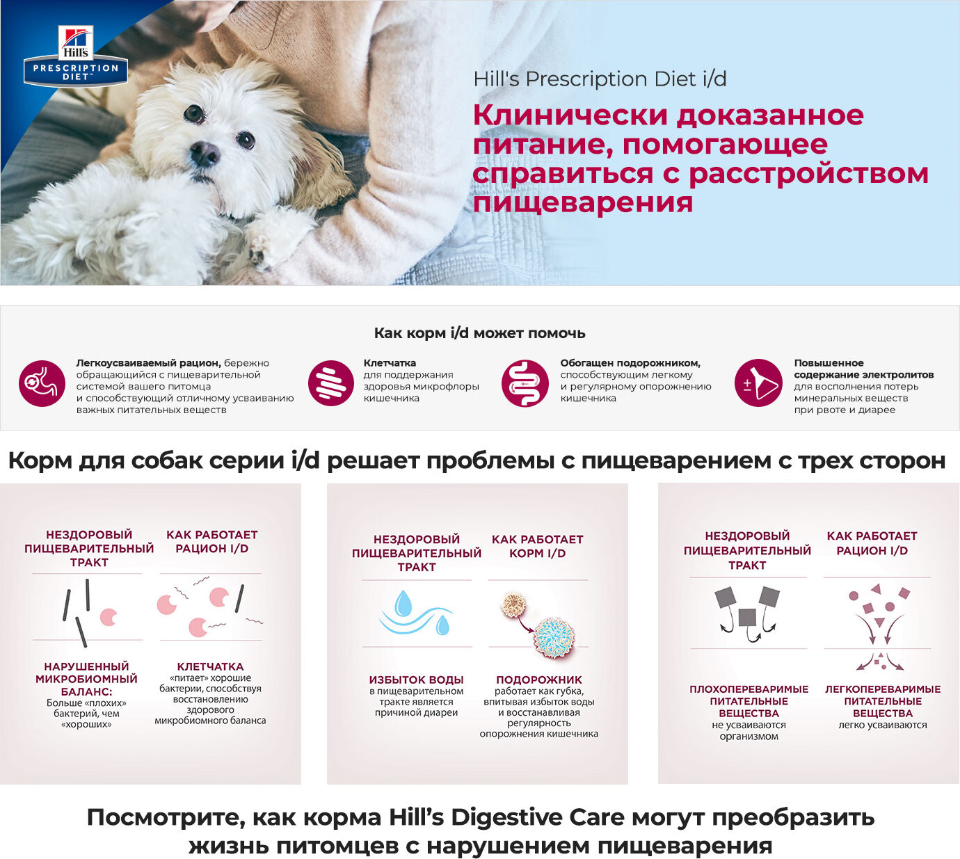 Зооэксперт Интернет Магазин Красноярск