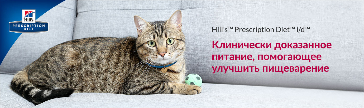 Зоонорка Интернет Магазин Корм Для Кошек
