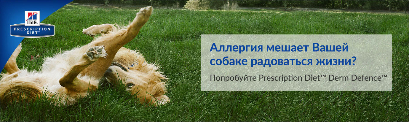 Зоонорка Интернет Магазин Корма
