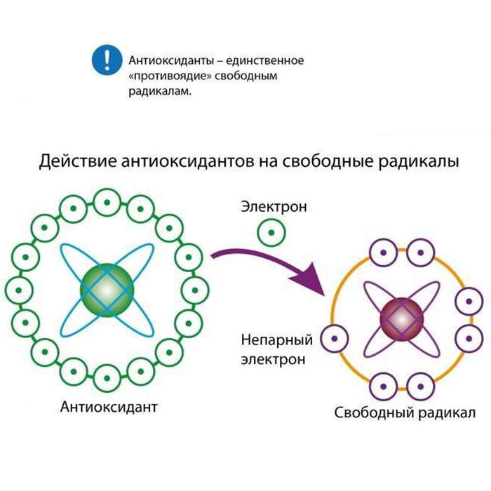 Свободные радикалы. Механизм действия антиоксидантов на свободные радикалы. Схема действия антиоксидантов. Действие свободных радикалов. Свободные радикалы схема.